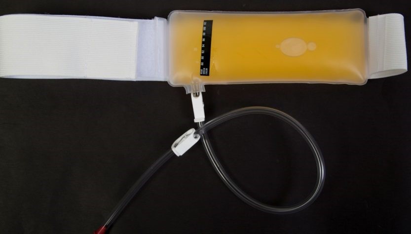 Synthetic Urine Sold Near 
      Me Pawlet VT 5761